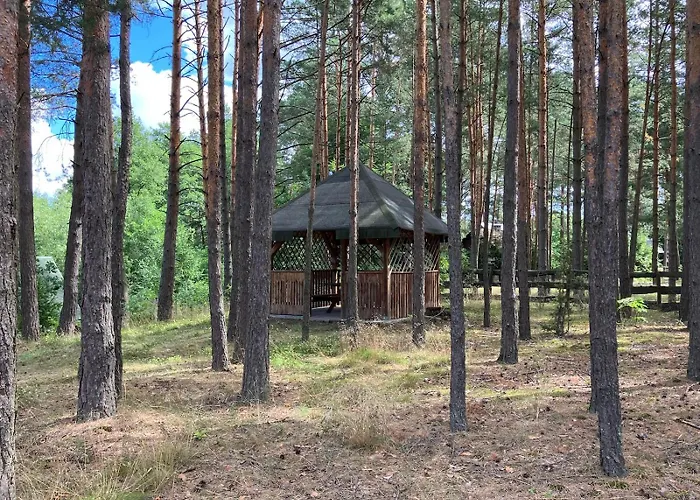 Domek Szumy